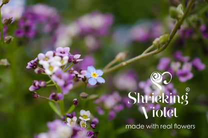 Silberner Anhänger mit Violinschlüssel und Musiknote – Purple Haze Collection