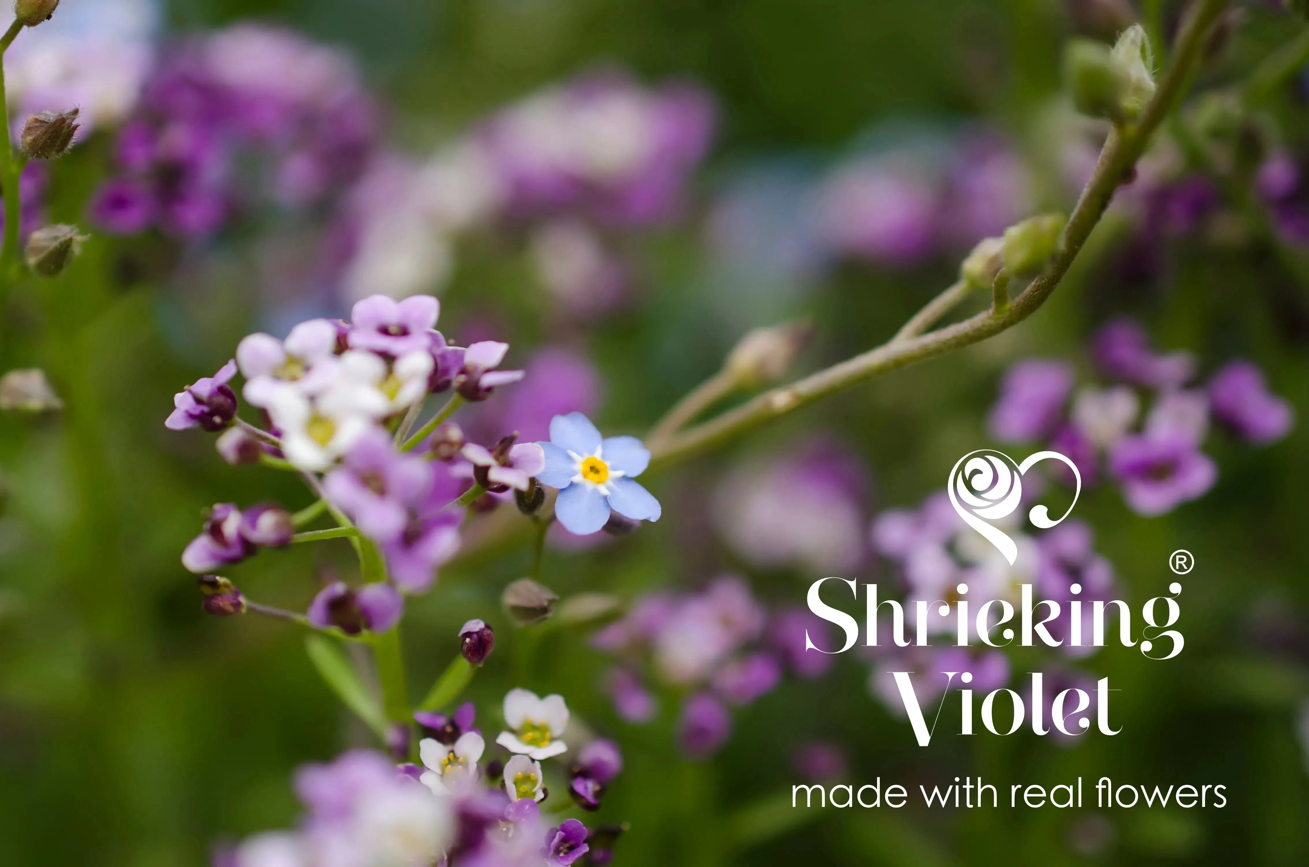 Silberner Anhänger mit Violinschlüssel und Musiknote – Purple Haze Collection